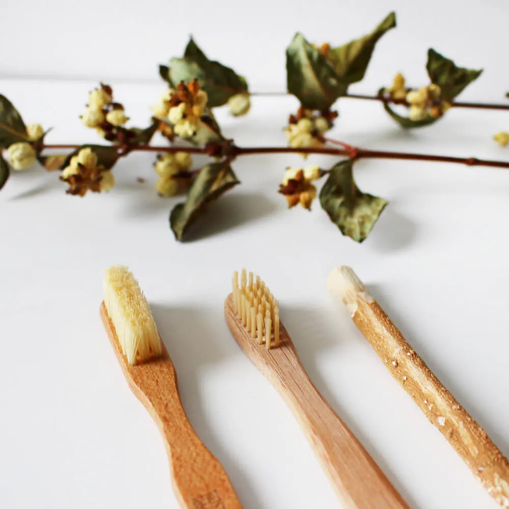 Stevia Positive properties of the Sweetener steviapura